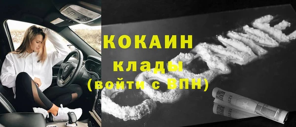 прущие крисы Гусев
