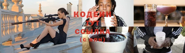 прущие крисы Гусев