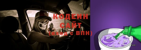 сатива Гусиноозёрск