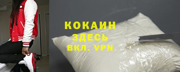 apvp Няндома