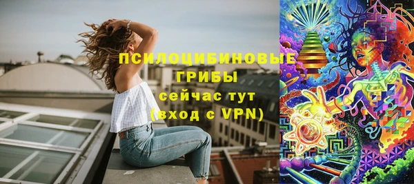 ПСИЛОЦИБИНОВЫЕ ГРИБЫ Шали