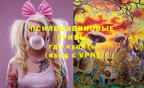 винт Нягань