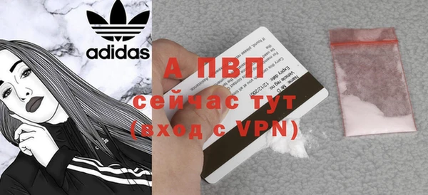сатива Гусиноозёрск