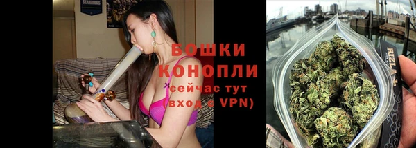 сатива Гусиноозёрск