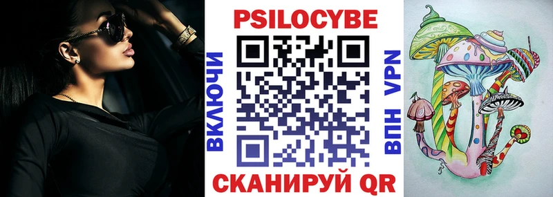как найти наркотики  Отрадный  Галлюциногенные грибы Psilocybe 