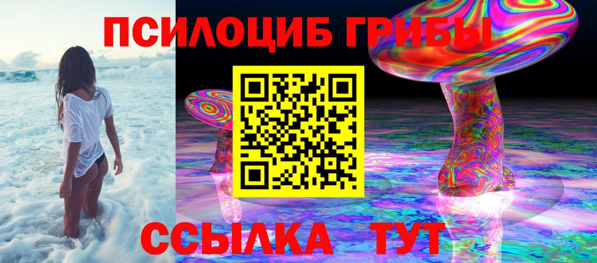 Псилоцибиновые грибы Psilocybe  Отрадный 