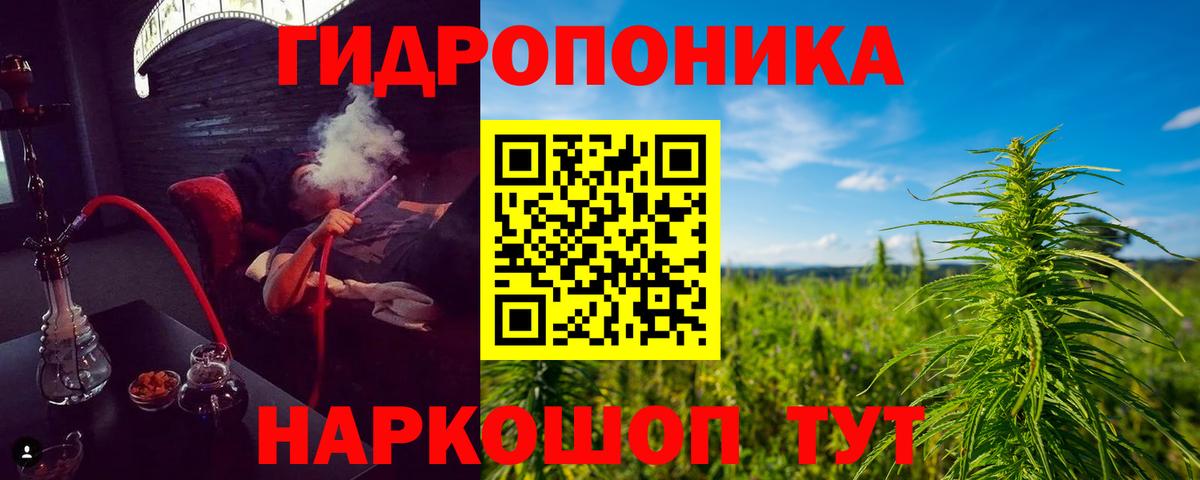Конопля White Widow Отрадный